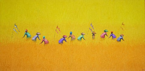 Buğday Tarlasında Hasat Büyük